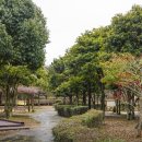 서귀포시 테니스공원 이미지