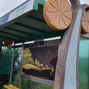 온평초등학교 병설유치원 이미지