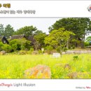 세현축사 | 제주 양떼목장 한바퀴 둘러보기