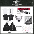 2NE1 CONCERT WELCOME BACK IN SEOUL 콘서트 후기