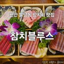 천안 불당동 데이트 혼술 참치회 가성비 맛집 참치블루스 내 돈 내산 후기