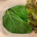 새용인동물약국 이미지