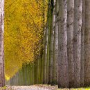 태룡초등학교 이미지