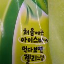 지에스25(GS25)대전죽동점 | 메롱바 GS25 후기 시골에서 어렵지 않게 득템하는 편의점 신상 아이스크림