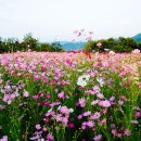 리치사랑방 이미지