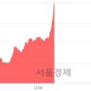 (유)상선 서울경제