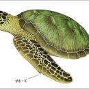 아리바다 이미지