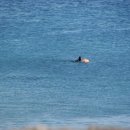 주영목장 이미지