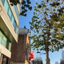 중구재활용센터 | 2025 성심당 딸기시루 말차시루 크리스마스 구매 후기 현장 상황 웨이팅 방법 주차 방법 (내돈내산)