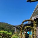 스카이마트 거제점 | 거제펜션 따뜻한 감성 가득한 공간, 거제 리틀포레스트 1호점 양옥 후기