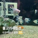 포토라이트사진관