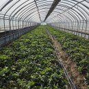 오기농장 이미지