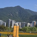 강 나 루 이미지