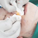 다움성형외과의원 이미지