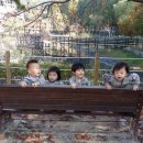 늘해랑작은도서관 이미지