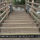 어살아있네 이미지
