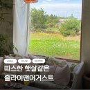 낙원로 | 제주 서귀포 카페 추천 줄라이앤어거스트 서쪽 감성 카페 후기