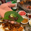 힐링곰장어 이미지