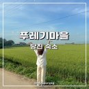 슬로우캠프 | 당진 숙소 푸레기마을 힐링캠프 슬로우라이프 애견 동반