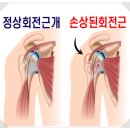 조이핏 - 안양시 동안구 흥안대로 396 | 조이핏