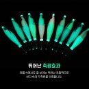 비다컴퍼니