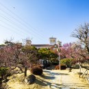 (주)건축사사무소 아라가야 이미지