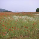 한경농원