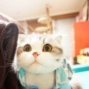 오빠 어디가