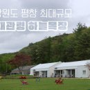 대관령목장 | 강원도 평창 최대규모 대관령 하늘목장 관람후기