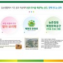 에덴의문화로