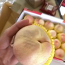 농라 카페에서 주문한 의성형제농원 대옥계 후기(복숭아티켓팅)