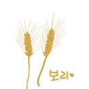 보리 이미지