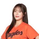 에이전시에이치