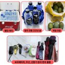 동부카-서비스 | 발리여행 동부투어 신혼여행 렘푸양사원 띠르따강가 따만우중 당일치기