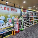 로스트볼 마켓 이미지