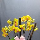 (주)오에스팜 이미지