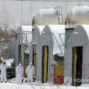 양영석농장 이미지