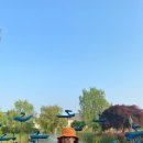 별빛이흐른다 이미지