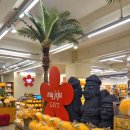 도순남로 이미지