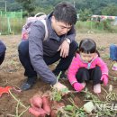 이재식농장 이미지