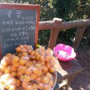 귤빠숑해