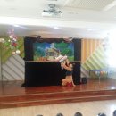 키즈포레유치원 이미지