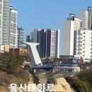 울산일보 | 울산 선셋 명소 무료로 즐기는 태화루 스카이워크 직접 다녀온 후기 ｜ 전동 그네, 네트 예약 꿀팁 총정리