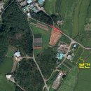 포승중학교 이미지