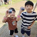 튼튼농장 | 용인 아이와 가볼만한곳 | 포레스트벨 체험농장 동물먹이주기+블루베리수확 솔직후기