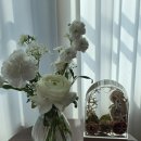 지니공방 | 청량리 부케보관 무드등 추천 지니꽃공방 하바리움 후기 💐✨