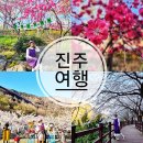 월아산 숲속의 진주(목재문화체험관) | 진주 벚꽃 명소 여행 월아산 우드랜드 숲속의진주 데이트