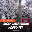 11650-1-10-621 | 일본 후쿠오카 근교 당일치기 여행 유후인 하루하루투어 후기 북큐슈 산큐패스 비교