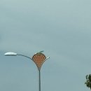 윤석목장 이미지