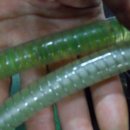 경일자동차 이미지